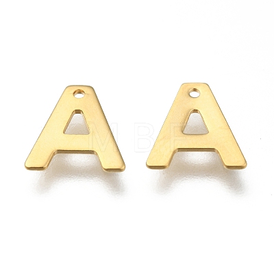 304 Stainless Steel Charms LS-X-STAS-P141-A-1