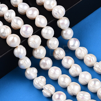 Natural Cultured Freshwater Pearl Beads Strands PEAR-N013-10F-1