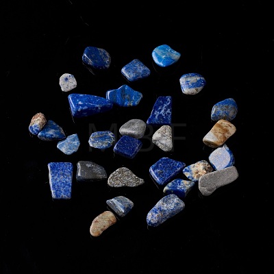 Natural Lapis Lazuli Chip Beads G-M364-10-1