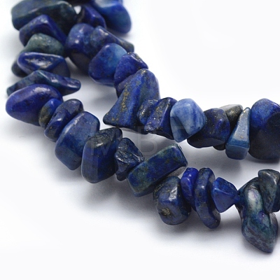 Natural Lapis Lazuli Beads Strands X-G-P332-14-1