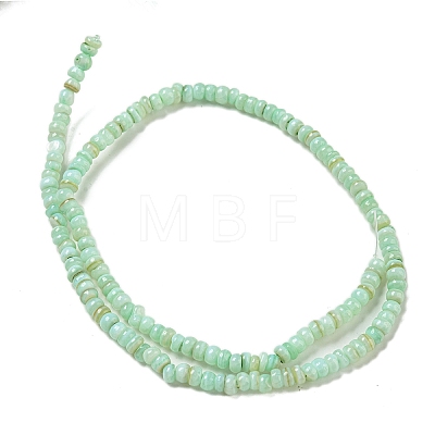 Dyed Natural Freshwater Shell Beads Strands BSHE-G039-07E-1