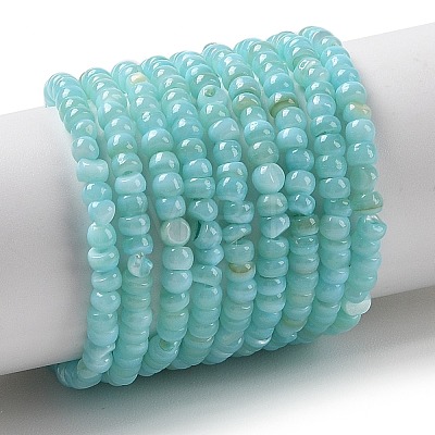 Natural Freshwater Shell Beads Strands SHEL-P017-01B-03-1