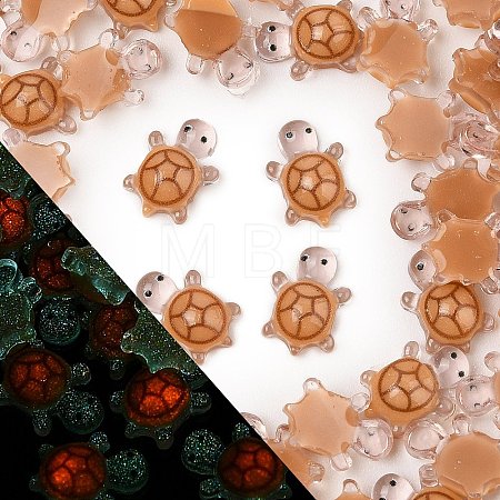 Luminous Resin Cabochons RESI-U003-03E-1
