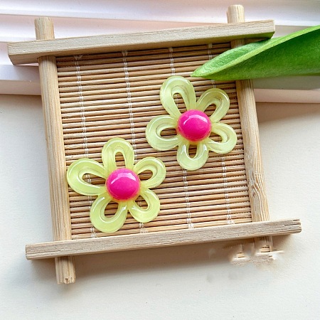 Resin Cabochons CRES-YWC0003-01A-1