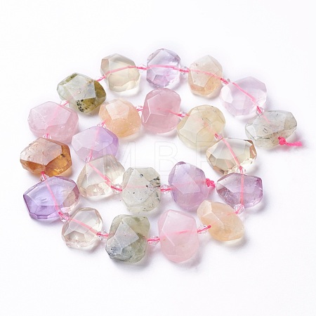 Natural Gemstone Beads Strands G-P434-27-1