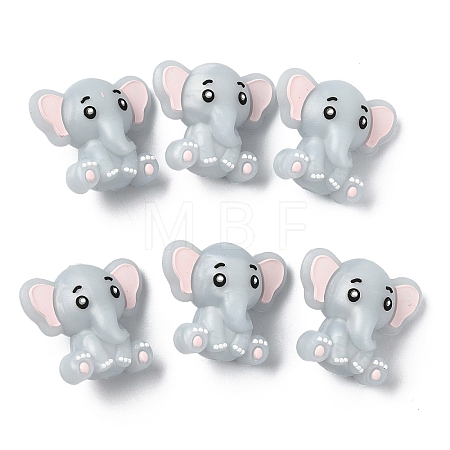 6Pcs Silicone Beads SIL-YW0002-10C-1