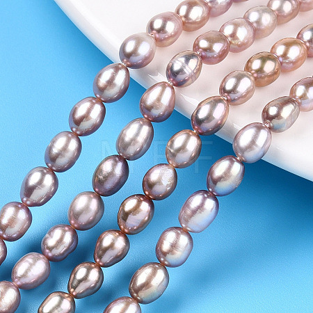 Natural Cultured Freshwater Pearl Beads Strands PEAR-N012-05T-1
