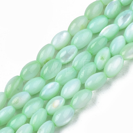 Natural Freshwater Shell Beads Strands SHEL-N003-25-B03-1