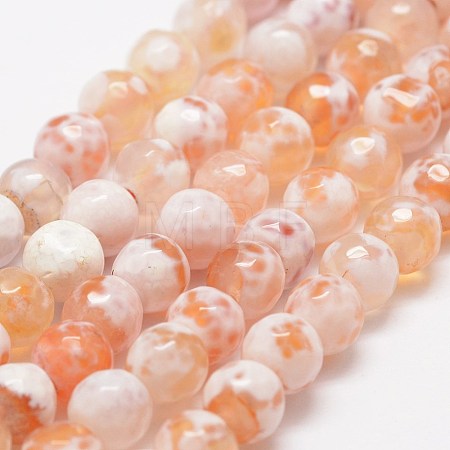 Faceted Natural Fire Crackle Agate Beads Strands X-G-F447-6mm-B03-1