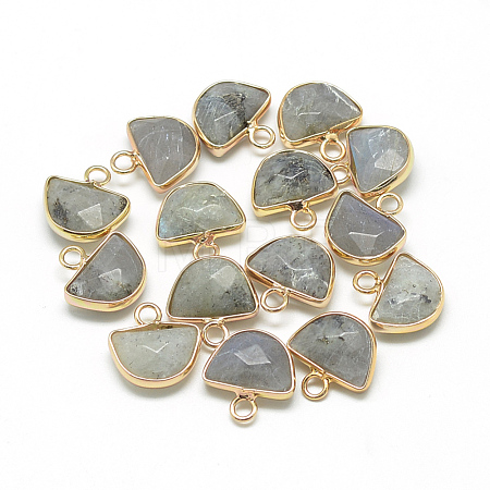 Natural Labradorite Semi Circle Pendants G-Q965-06-1