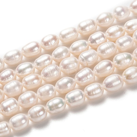 Natural Cultured Freshwater Pearl Beads Strands PEAR-L033-74-1