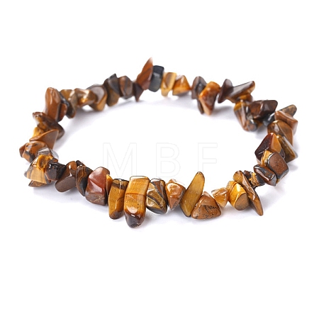 Natural Tiger Eye Chips Beaded Stretch Bracelet for Women PW-WG72437-09-1