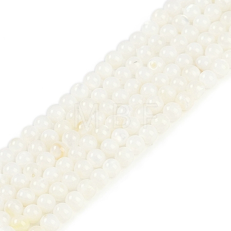 Natural Cultured Freshwater Shell Beads Strands BSHE-H109-03B-1