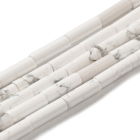 Synthetic Howlite Beads Strands G-K340-C06-01-1