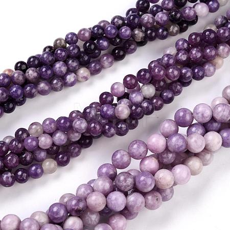 Natural Lepidolite/Purple Mica Stone Beads Strands G-K415-8mm-1