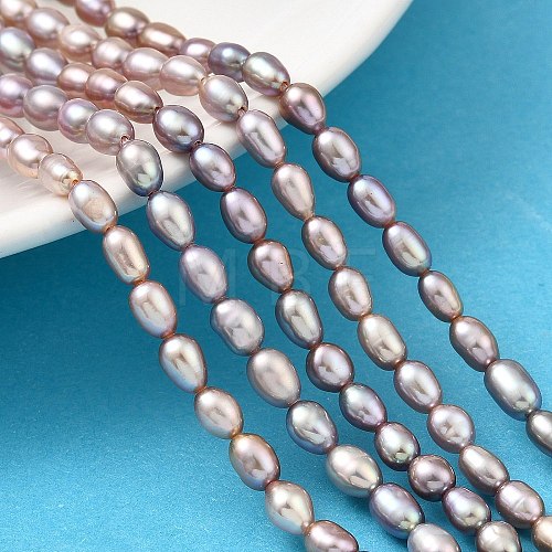 Natural Cultured Freshwater Pearl Beads Strands PEAR-I007-01P-01-1