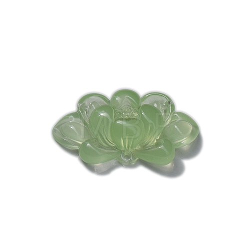 10Pcs Resin Imitation Xiuyan Jade Pendants PW-WG82645-02-1