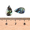 Natural Paua Shell Teardrop Cabochons SSHEL-T017-12-3