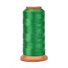 Polyester Threads LS-NWIR-G018-A-19-1