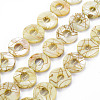 Natural Freshwater Shell Beads Strands SHEL-N026-168C-1