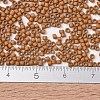 MIYUKI Delica Beads SEED-X0054-DB2287-4