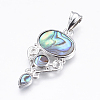 Abalone Shell/Paua Shell Pendants X-SSHEL-P014-18-1
