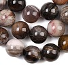 Natural Petrified Wood Beads Strands G-L648-A03-16mm-02-5
