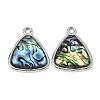 304 Stainless Steel & Natural Paua Shell Pendants SH-CBA7184-01E-P-1