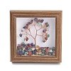 Natural Mixed Stone Chips Chips Tree of Life with Wooden Photo Frame Decorations DJEW-B013-04F-1