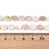 Electroplated Natural Freshwater Shell Beads Strands SHEL-N038-27-4
