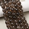 Natural Smoky Quartz Beads Strands G-B167-A09-12mm-2