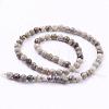 Natural Silver Leaf Jasper Beads Strands G-G683-08-6mm-2