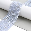 Natural Blue Lace Agate Beads Strands X-G-K366-B02-02-3