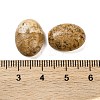 Natural Picture Jasper Cabochons G-B085-06D-03-3