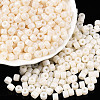 Opaque Baking Paint Glass Seed Beads SEED-T008-02A-1