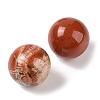 Natural Red Jasper No Hole Sphere Beads G-K353-04D-07-2