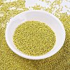 MIYUKI Delica Beads SEED-X0054-DB0412-2