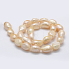 Natural Cultured Freshwater Pearl Beads Strands PEAR-K004-06D-2