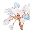 Natural Morganite Chip Pachira Glabra Display Decorations DJEW-K025-04I-3
