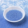 MIYUKI Round Rocailles Beads SEED-JP0008-RR0159-2