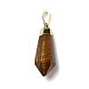 Natural Mixed Stone Pointed Pendants G-P474-02G-3
