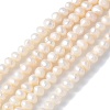 Natural Cultured Freshwater Pearl Beads Strands PEAR-I007-07L-01-2