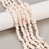 Natural Pink Shell Beads Strands X-SSHEL-L016-19-1