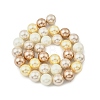 Round Shell Pearl Beads Strands BSHE-XCP0001-26A-2