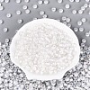 FGB Inside Colours Transparent Glass Seed Beads SEED-T009-01L-1