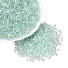 Transparent Electroplate Glass Beads EGLA-Q138-01D-1