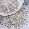 MIYUKI Delica Beads SEED-MY11-DB0551-1