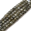Natural Labradorite Beads Strands G-F797-A09-01-2