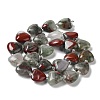 Natural African Bloodstone Beads Strands G-E614-A19-01-2
