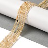 Natural Gold Rutilated Quartz Beads Strands G-B090-A30-03-2